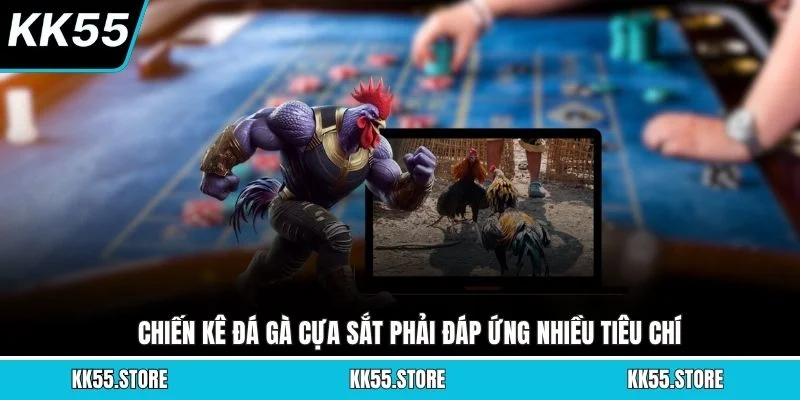 Chiến kê đá gà cựa sắt phải đáp ứng nhiều tiêu chí