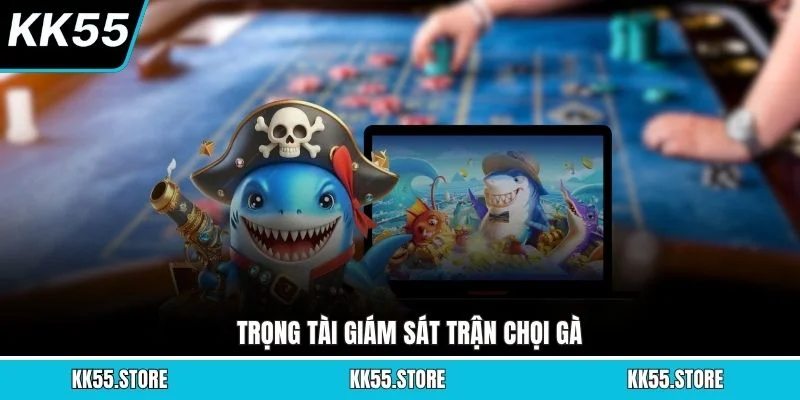 Trọng tài giám sát trận chọi gà